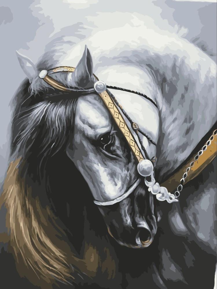 Wit Paard met zijn Hoofd Naar Beneden Schilderen op Nummers