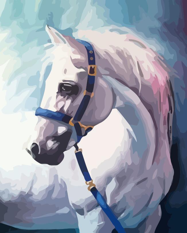 Wit Paard Schilderen op Nummers