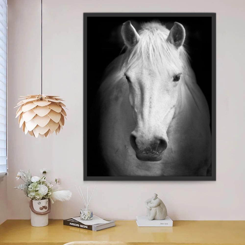 Wit Paard Schilderen op Nummers