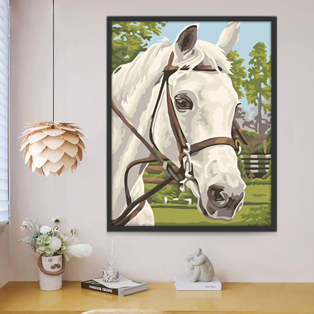 Wit Paard Schilderen op Nummers