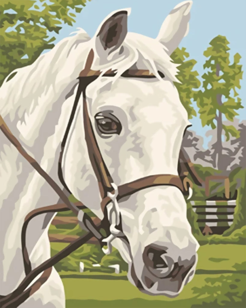 Wit Paard Schilderen op Nummers
