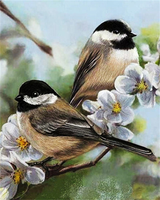 Witte Bloemen en Vogels Schilderen op Nummers