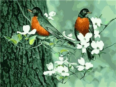 Witte Bloemen en Vogels Schilderen op Nummers