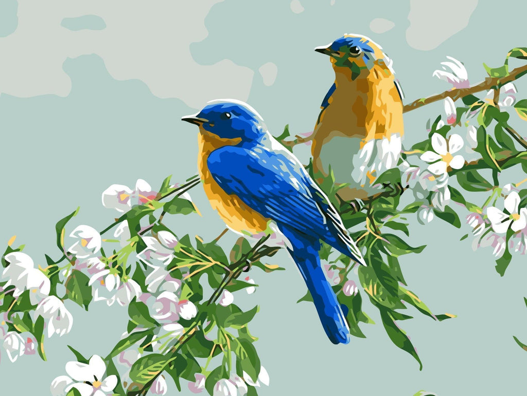 Witte Bloemen en Vogels Schilderen op Nummers