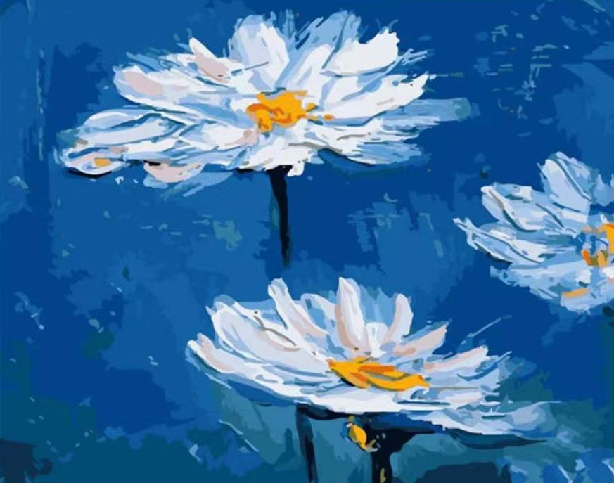 Witte Chrysanten op een Blauwe Achtergrond Schilderen op Nummers