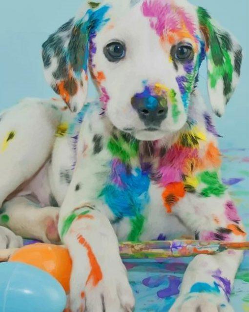 Witte Hond met Gekleurde Verf Schilderen op Nummers