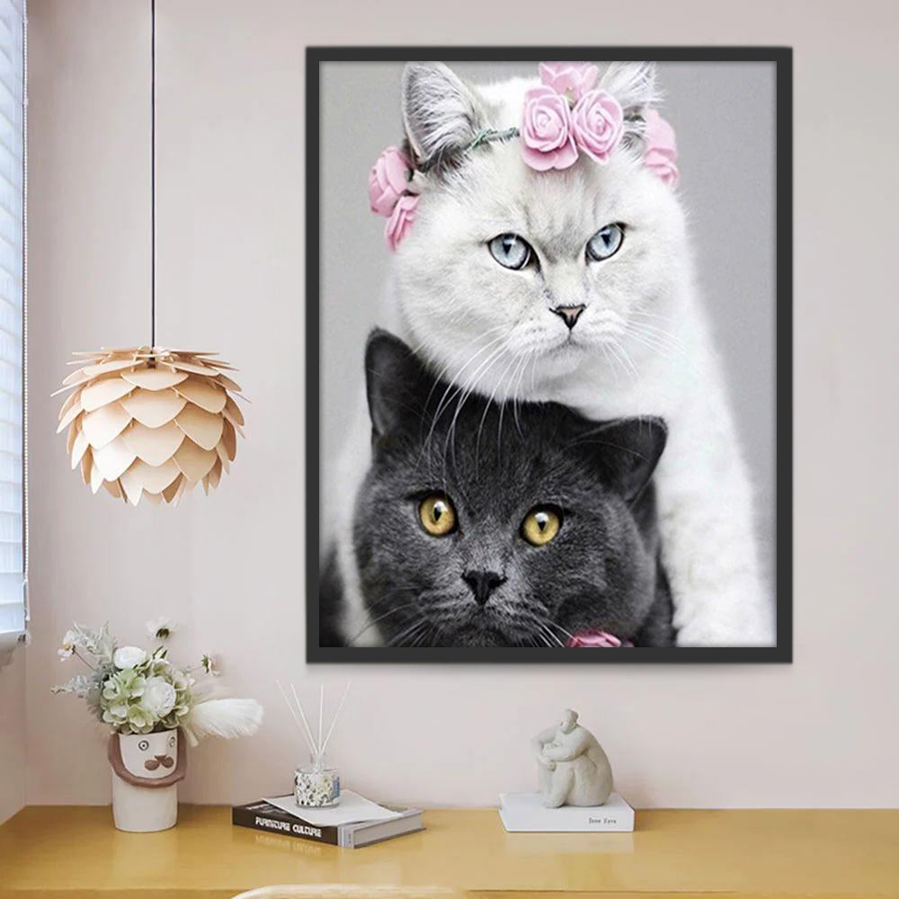 Witte Kat en Zwarte Kat Schilderen op Nummers