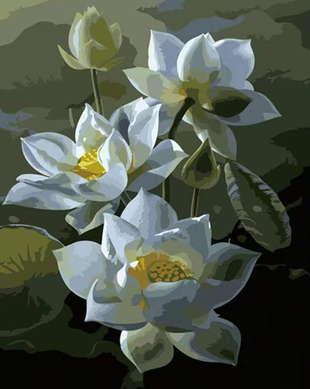 Witte lotusbloemen Schilderen op Nummers