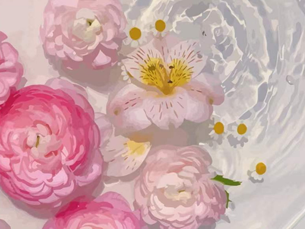 Witte Margrieten en Roze Bloemen Schilderen op Nummers