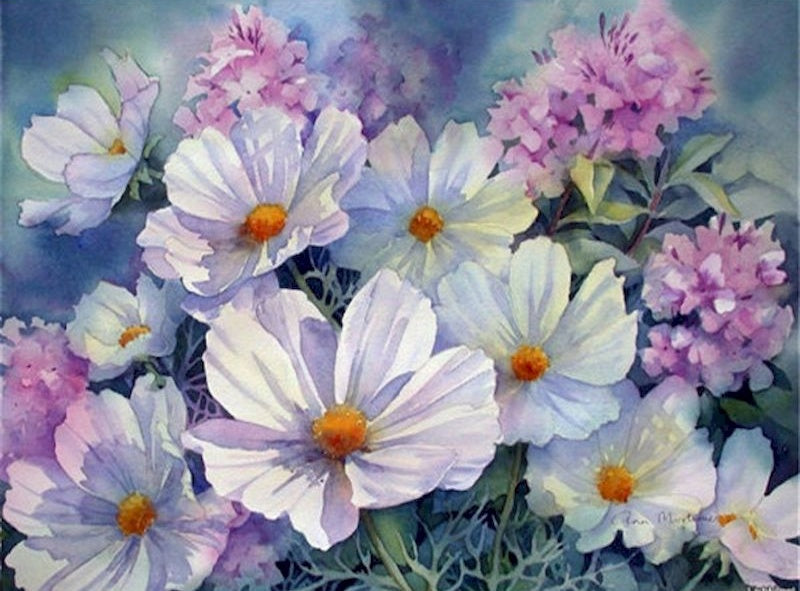 Witte margrieten en roze bloemen Schilderen op Nummers
