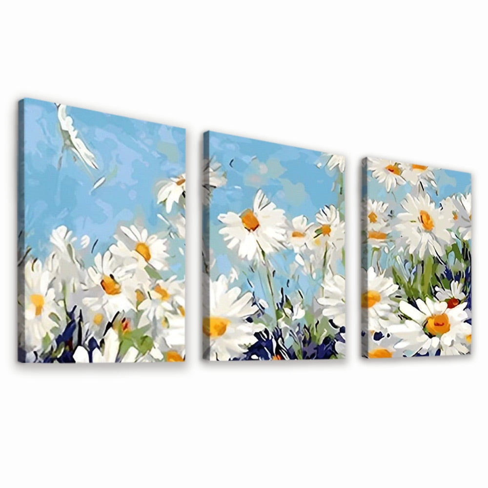 Witte Margrieten onder een Blauwe Hemel 3 Platen Schilderen op Nummers