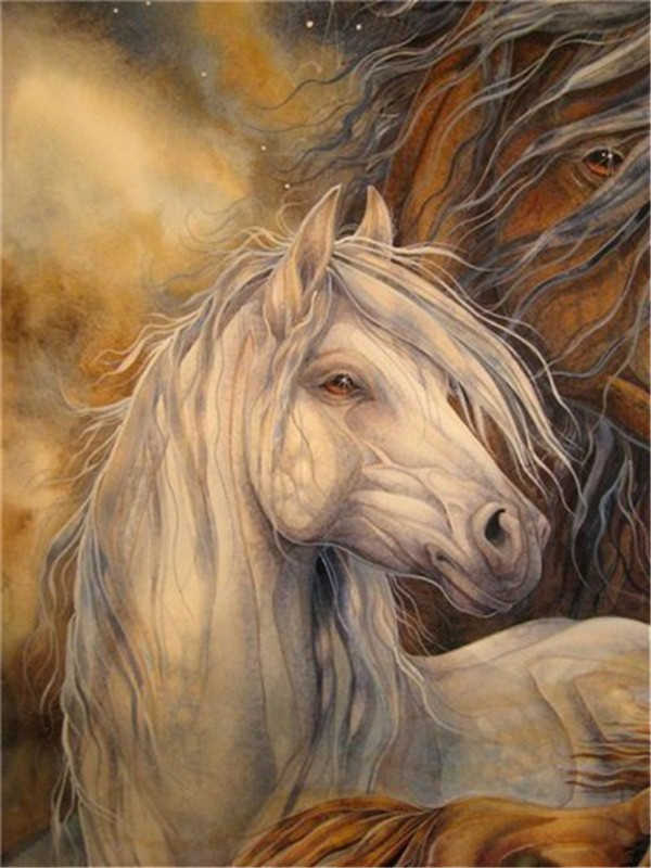 Witte Pony Schilderen op Nummers