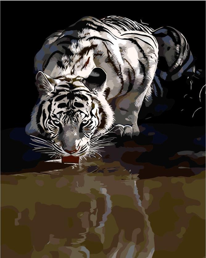 Witte Tijger Drinkt Water Schilderen op Nummers