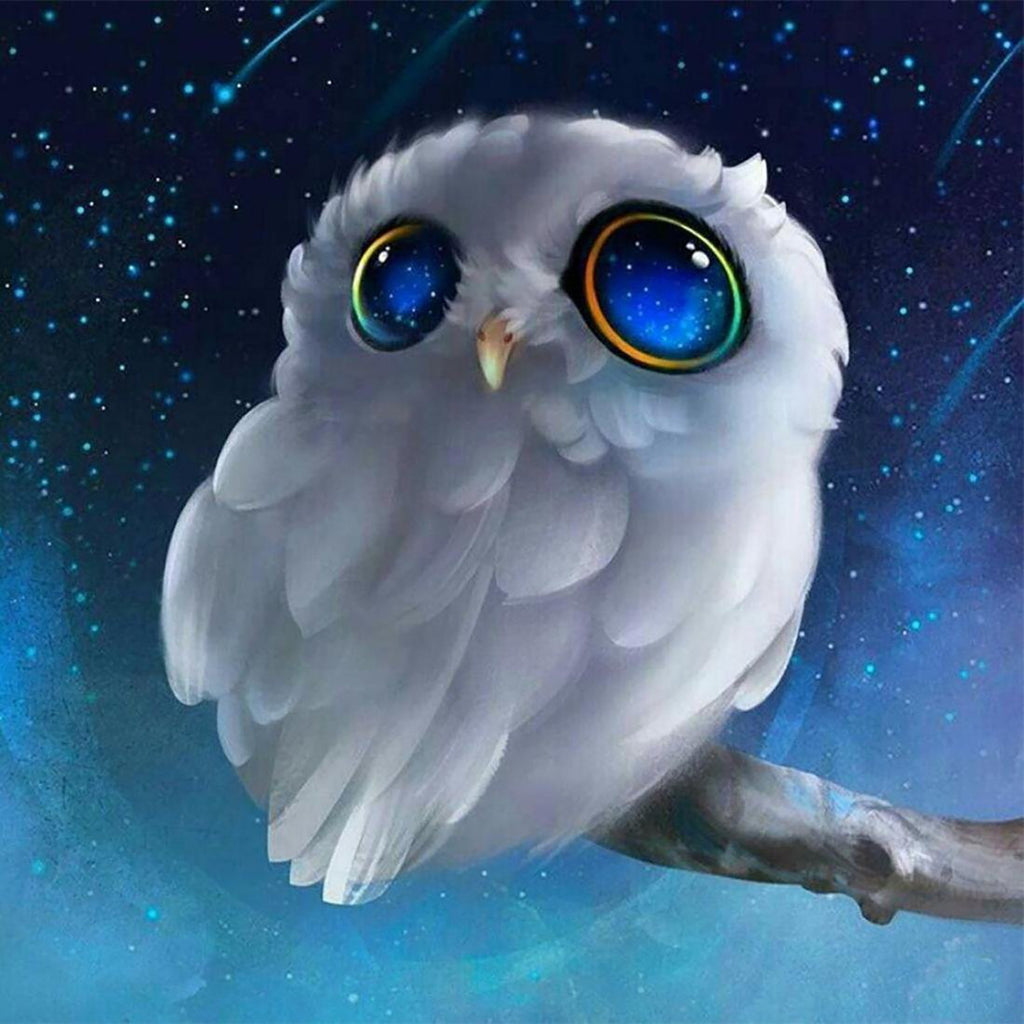 Witte Uil met Grote Blauwe Ogen Schilderen op Nummers