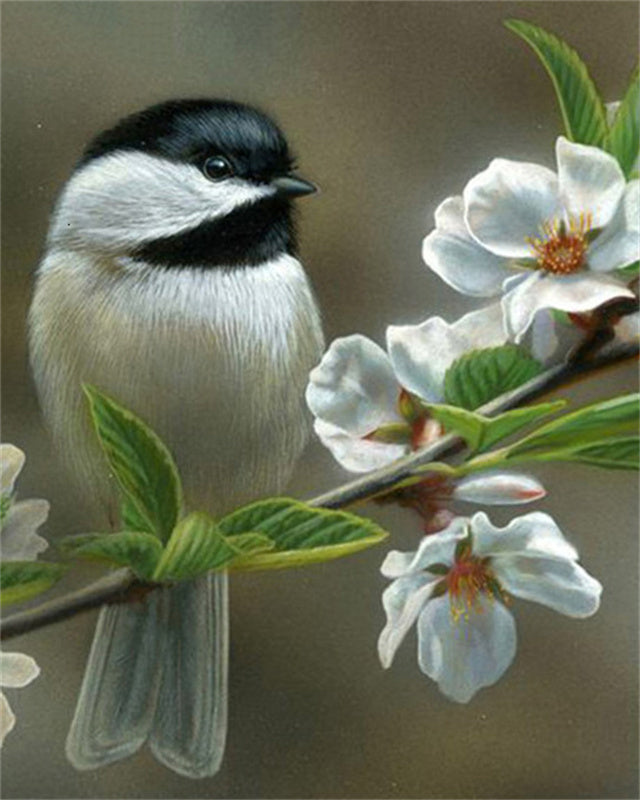 Witte Vogel en Bloemen Schilderen op Nummers