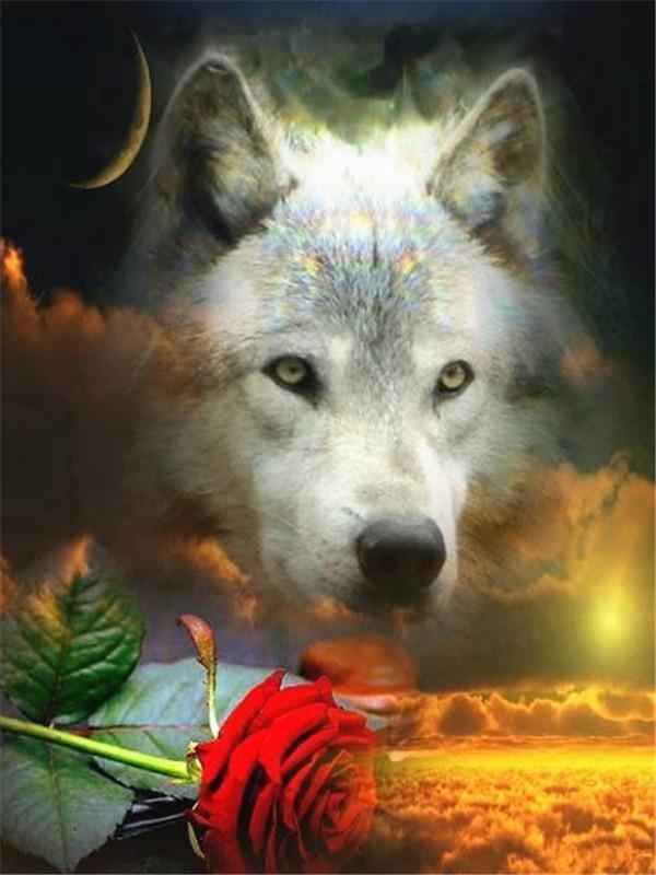 Witte Wolf en Rode Roos Schilderen op Nummers