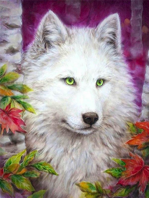 Witte Wolf met Groene Ogen Schilderen op Nummers