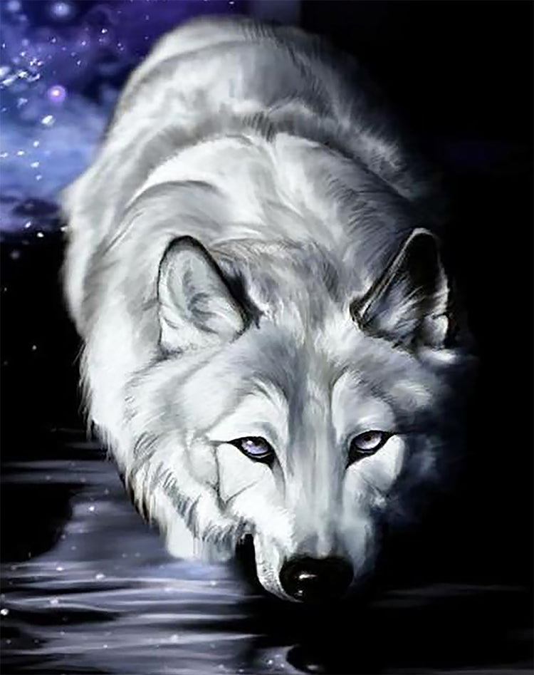 Witte Wolf Schilderen op Nummers