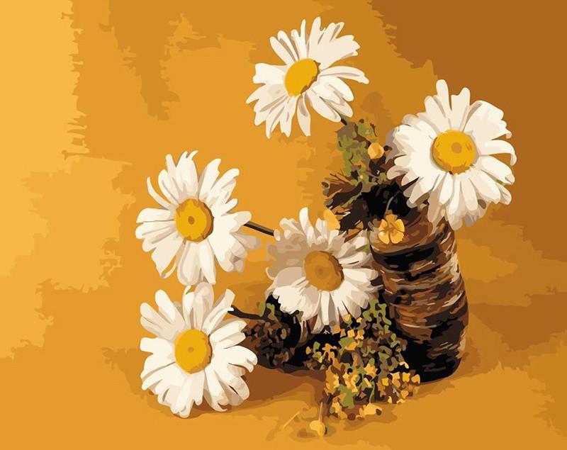Witte Zonnebloemen Schilderen op Nummers