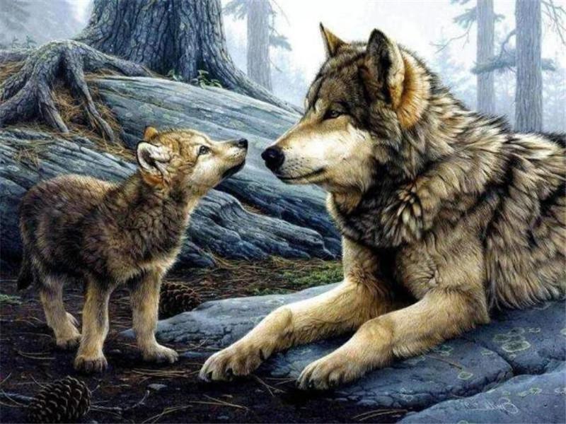 Wolf en Welp Schilderen op Nummers