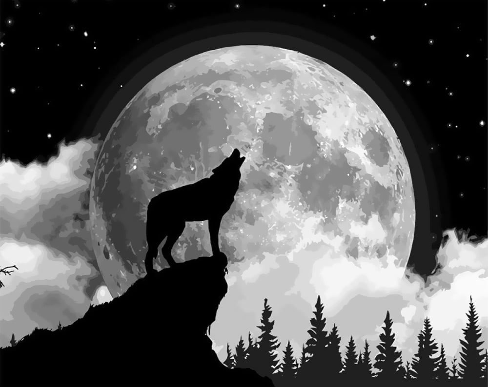 Wolf Gehuil onder de Maan Schilderen op Nummers