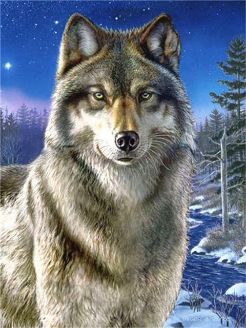 Wolf in de Nacht Schilderen op Nummers