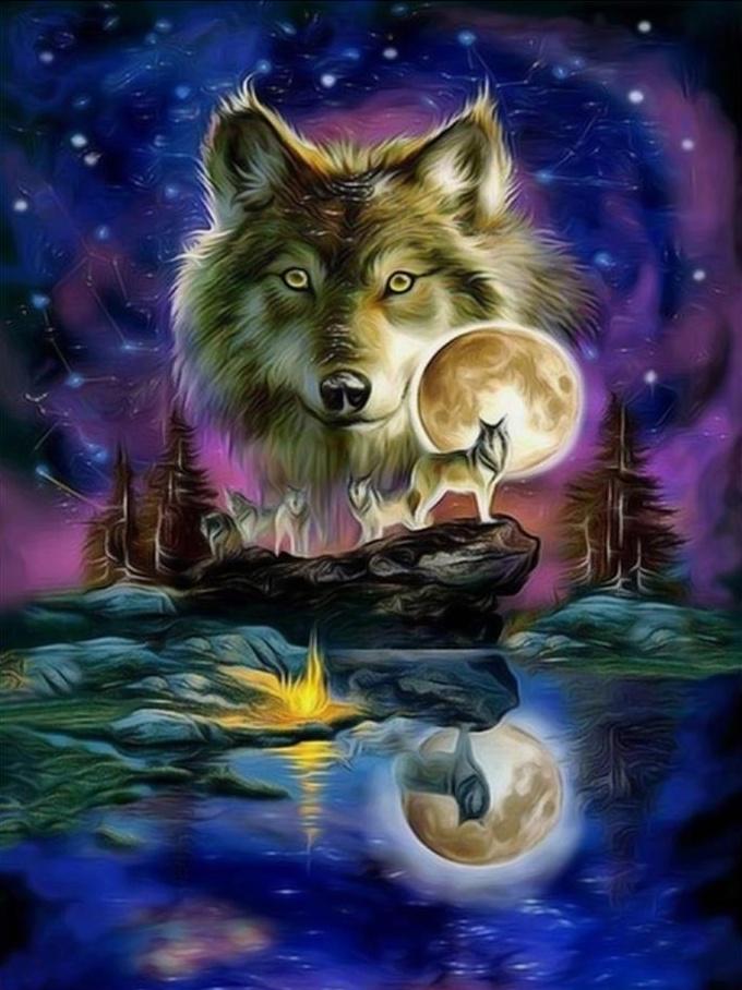 Wolf Maan Spiegeling Schilderen op Nummers