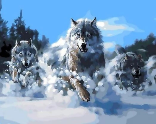 Wolven Rennend in de Sneeuw Schilderen op Nummers