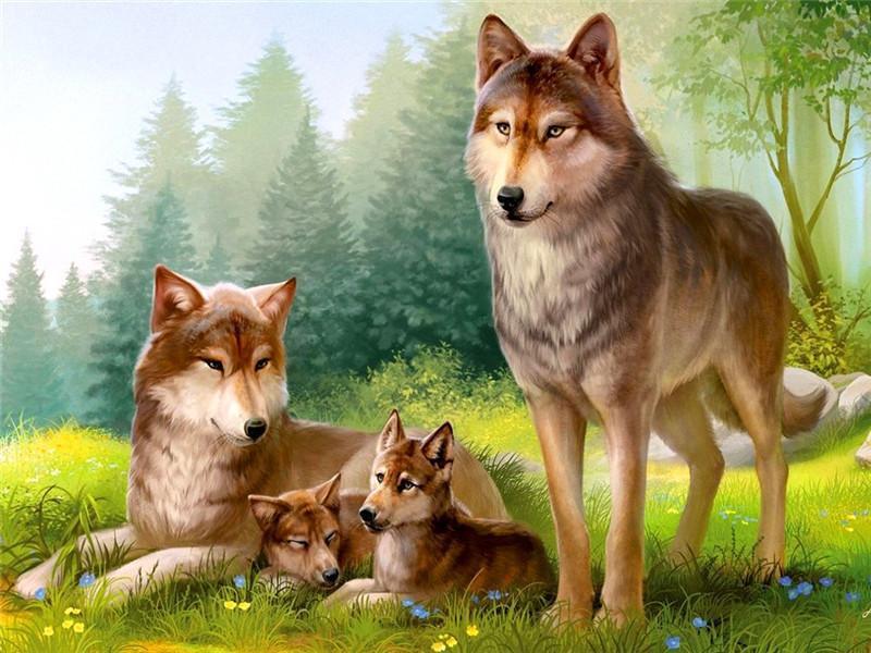 Wolvenfamilie Schilderen op Nummers