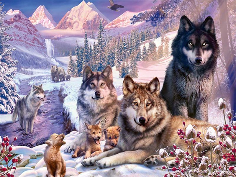 Wolvenfamilie Schilderen op Nummers