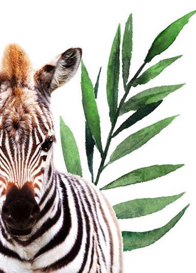 Zebra en Bladeren Schilderen op Nummers