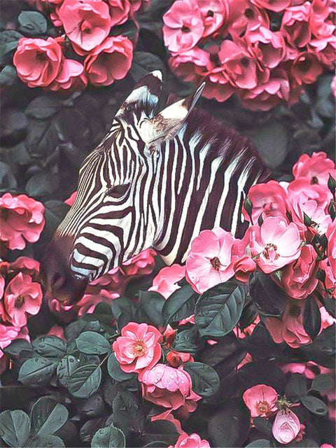 Zebra Omringd door Camelias Schilderen op Nummers