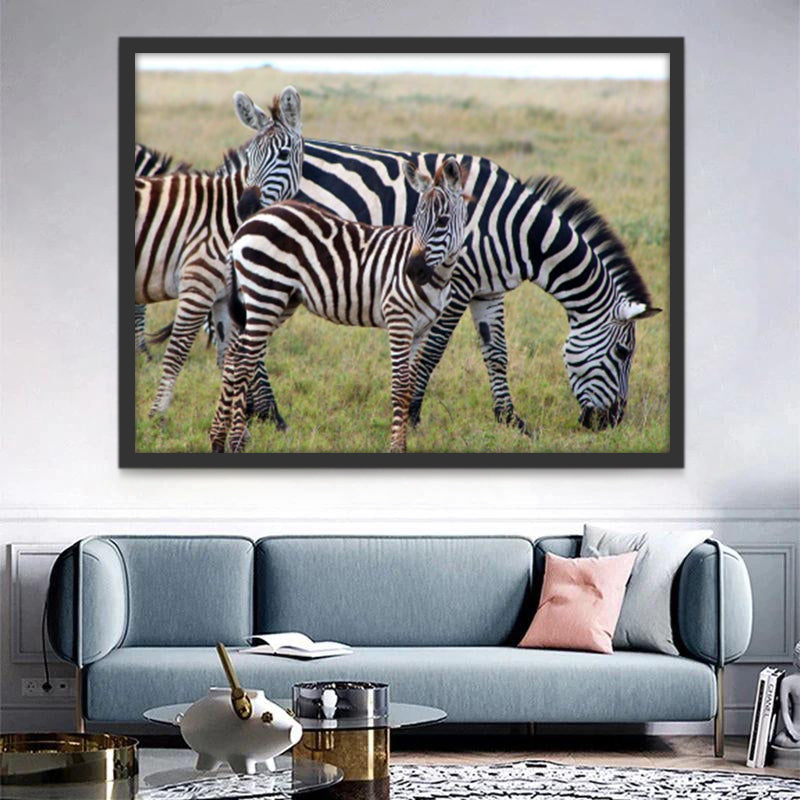 Zebras Schilderen op Nummers