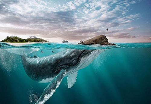 Zeedier Walvis Schilderen op Nummers