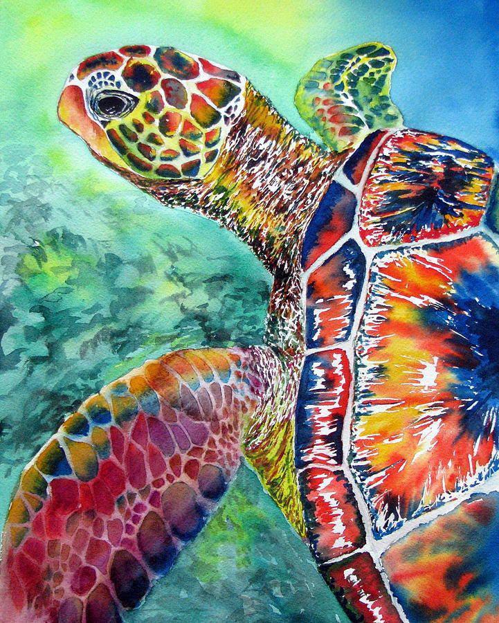 Zeedier Zeeschildpad Schilderen op Nummers