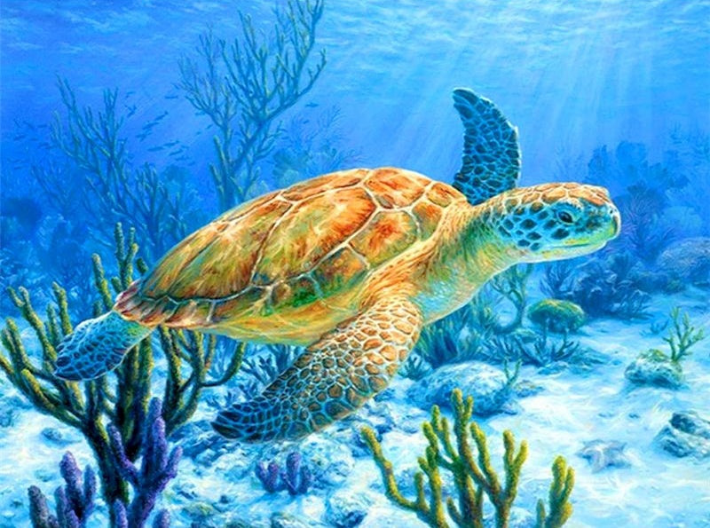 Zeeschildpad en Koralen Schilderen op Nummers