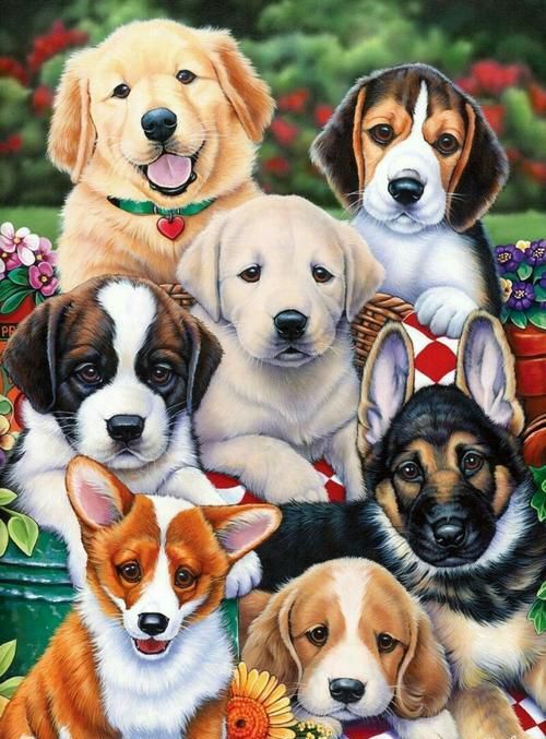 Zeven Honden in de Tuin Schilderen op Nummers
