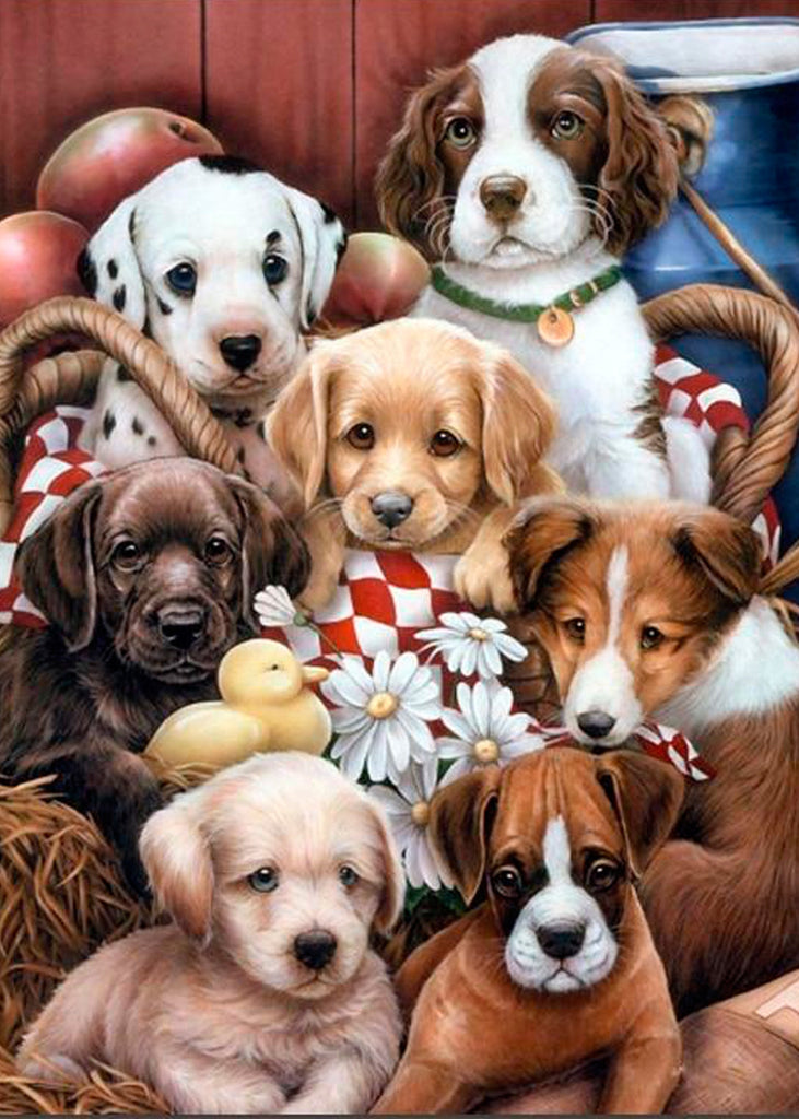Zeven Schattige Puppies Schilderen op Nummers