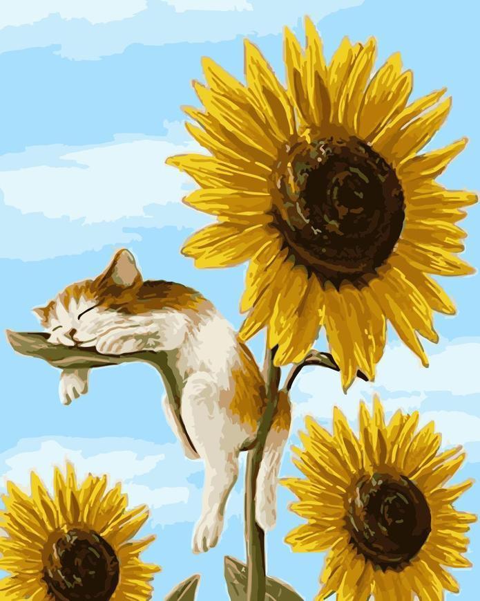 Zonnebloem en Slapende Kat Schilderen op Nummers