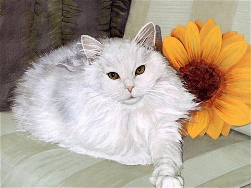 Zonnebloem en Witte Kat Schilderen op Nummers