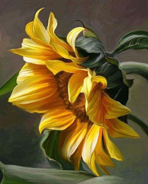 Zonnebloem met Hangende Bloemen Schilderen op Nummers