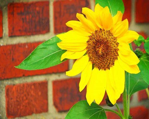 Zonnebloem op de Rode Muur Schilderen op Nummers