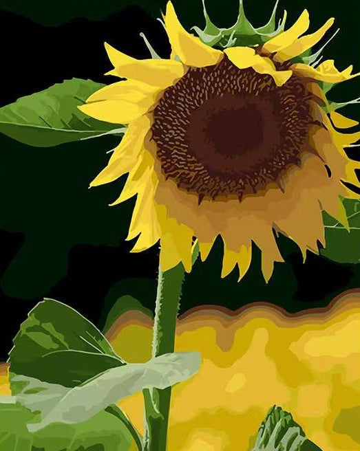 Zonnebloem Wijst naar Beneden Schilderen op Nummers