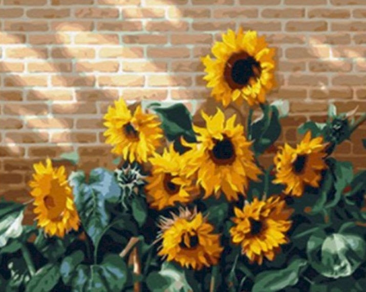 Zonnebloemen aan de Muur Schilderen op Nummers