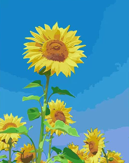Zonnebloemen op een Blauwe Achtergrond Schilderen op Nummers