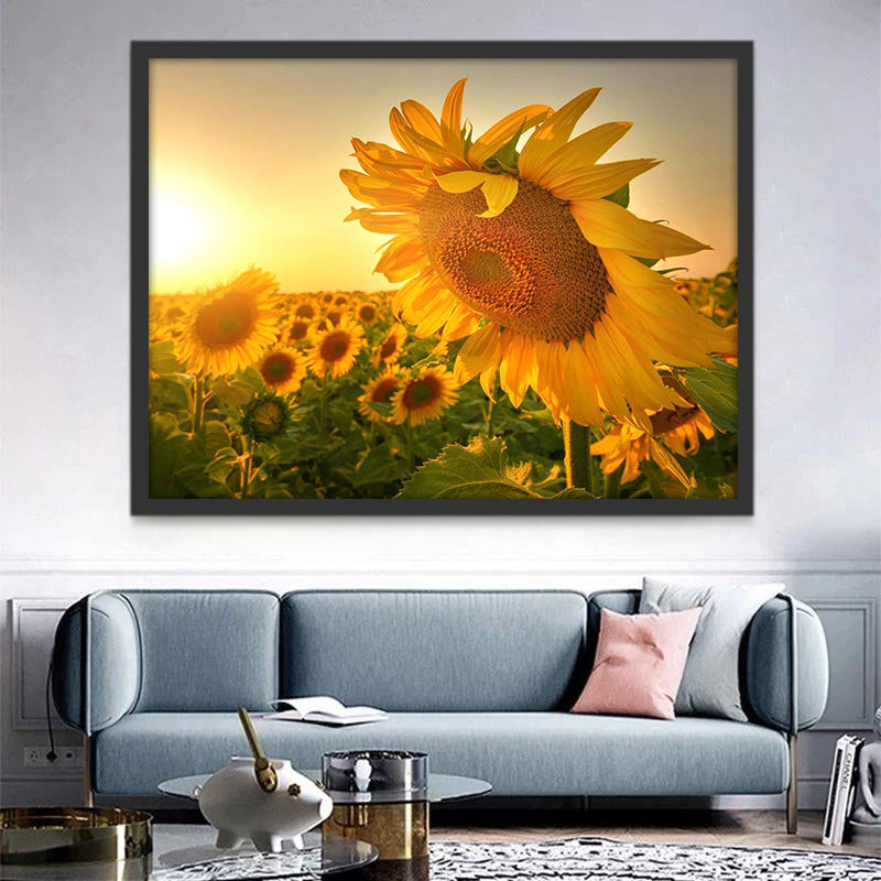 Zonnebloemveld in de Zon Schilderen op Nummers