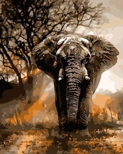 Zonneschijn en Olifant Schilderen op Nummers