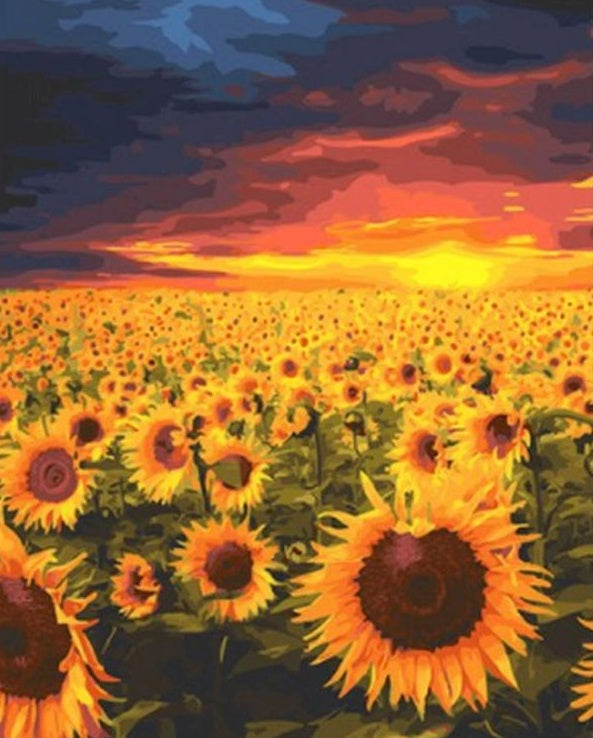 Zonsondergang en Zonnebloemen Schilderen op Nummers