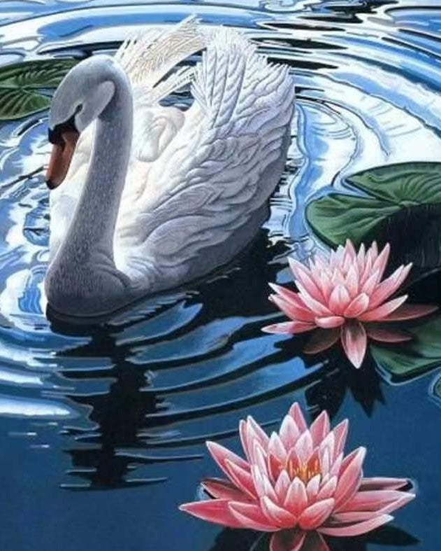 Zwaan en Lotus Schilderen op Nummers