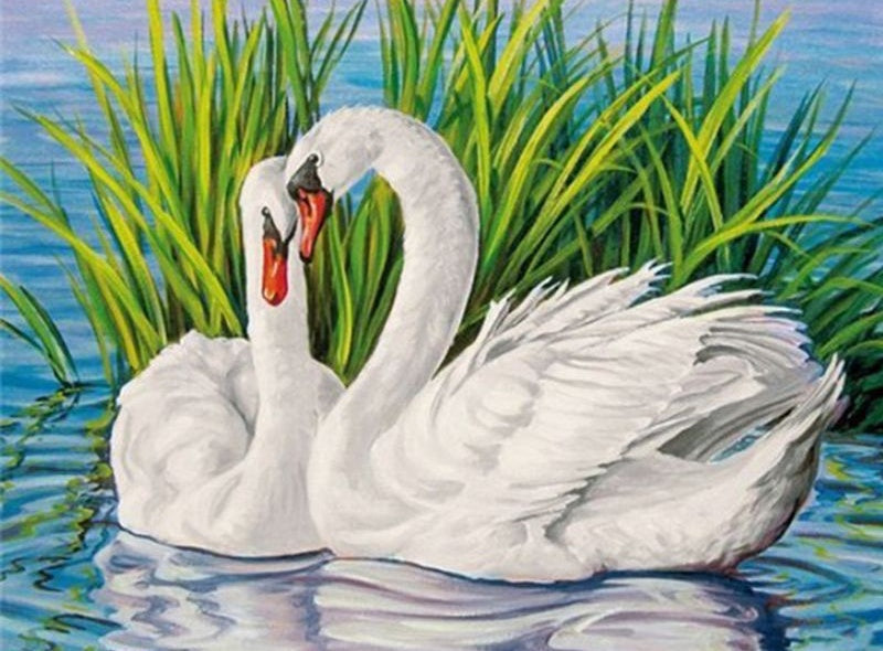 Zwanen Schilderen op Nummers
